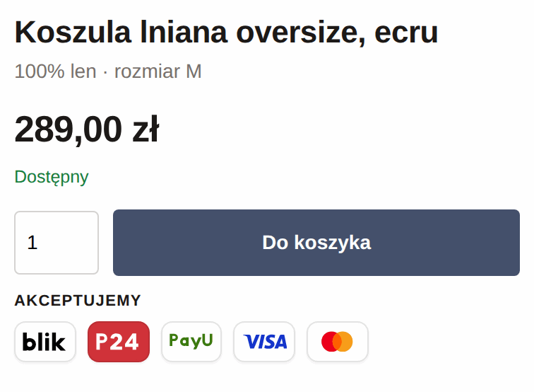 Pasek „Akceptujemy” z pięcioma logotypami płatności: BLIK, Przelewy24, PayU, Visa i Mastercard
